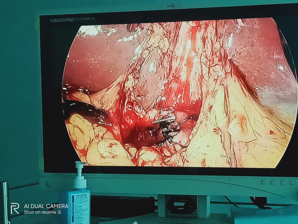 Clinic Gallery 2